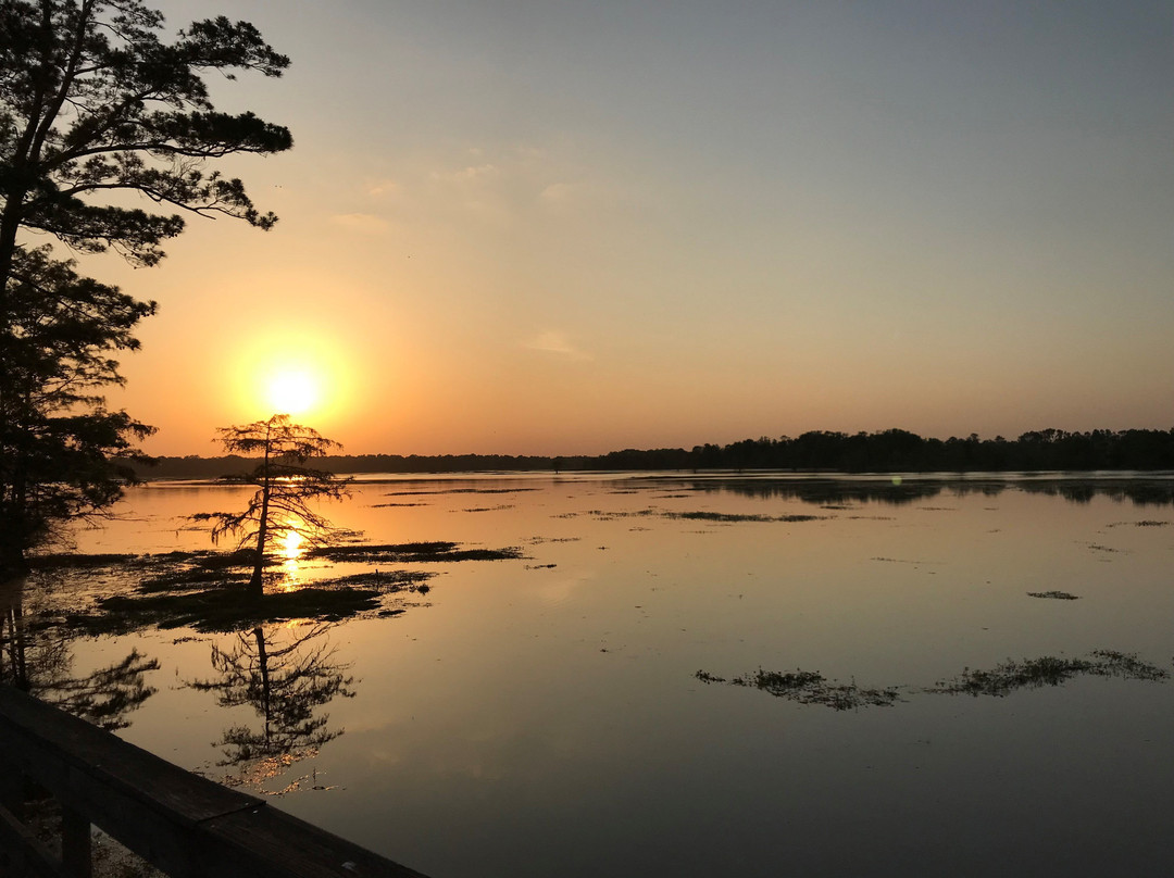 Martin Dies, Jr. State Park-Jasper必去景点