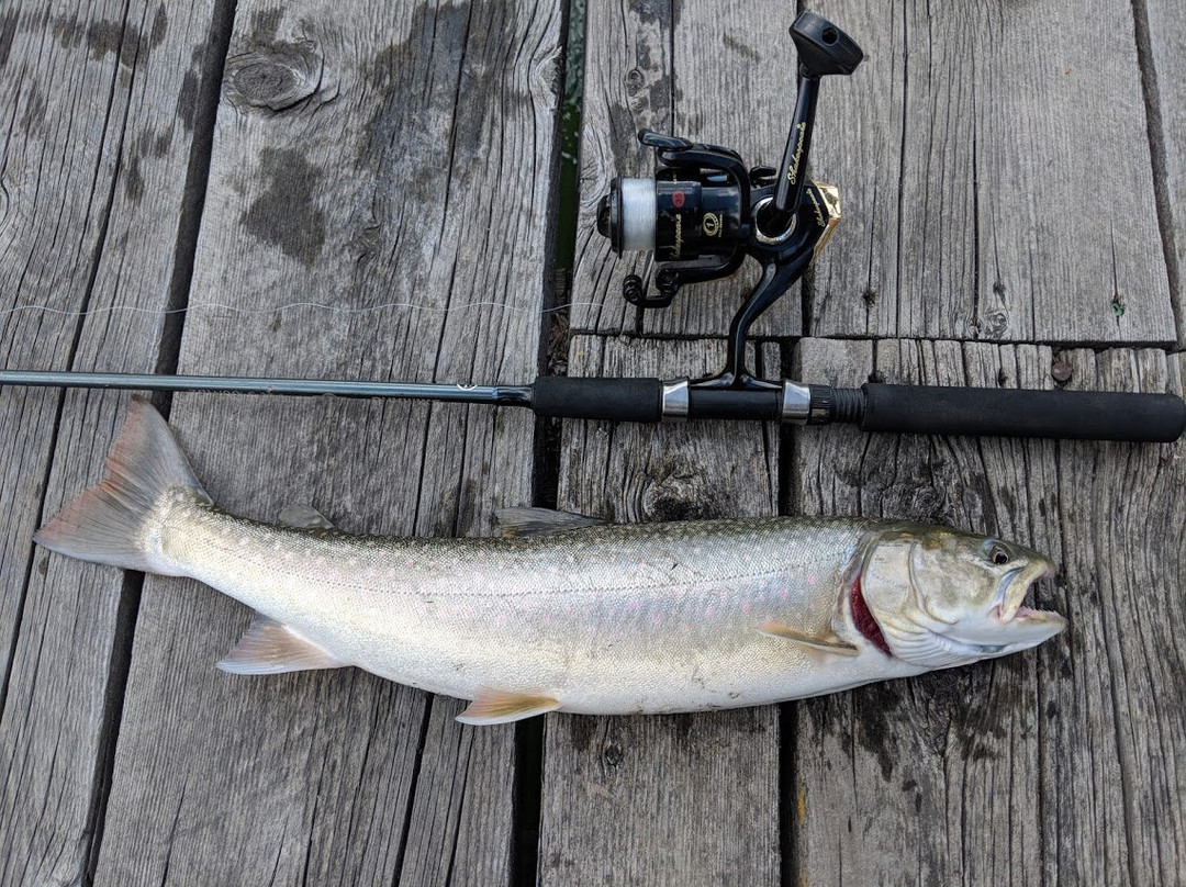 Riverside Bed & Breakfast主图