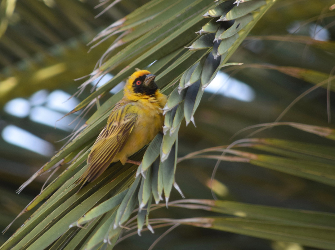 Jubilee Lodge Guesthouse主图