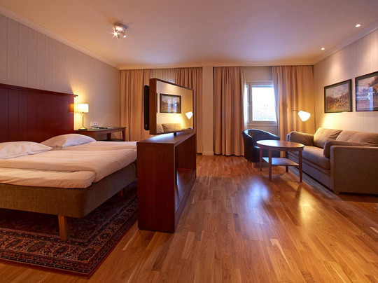 瑞典精英酒店主图