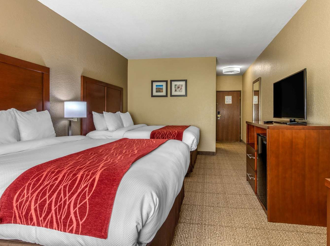 Comfort Inn & Suites主图