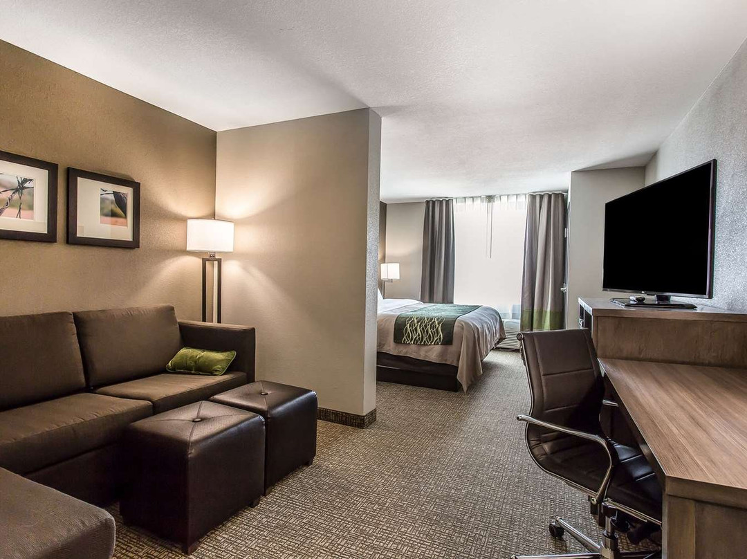 Comfort Inn & Suites主图