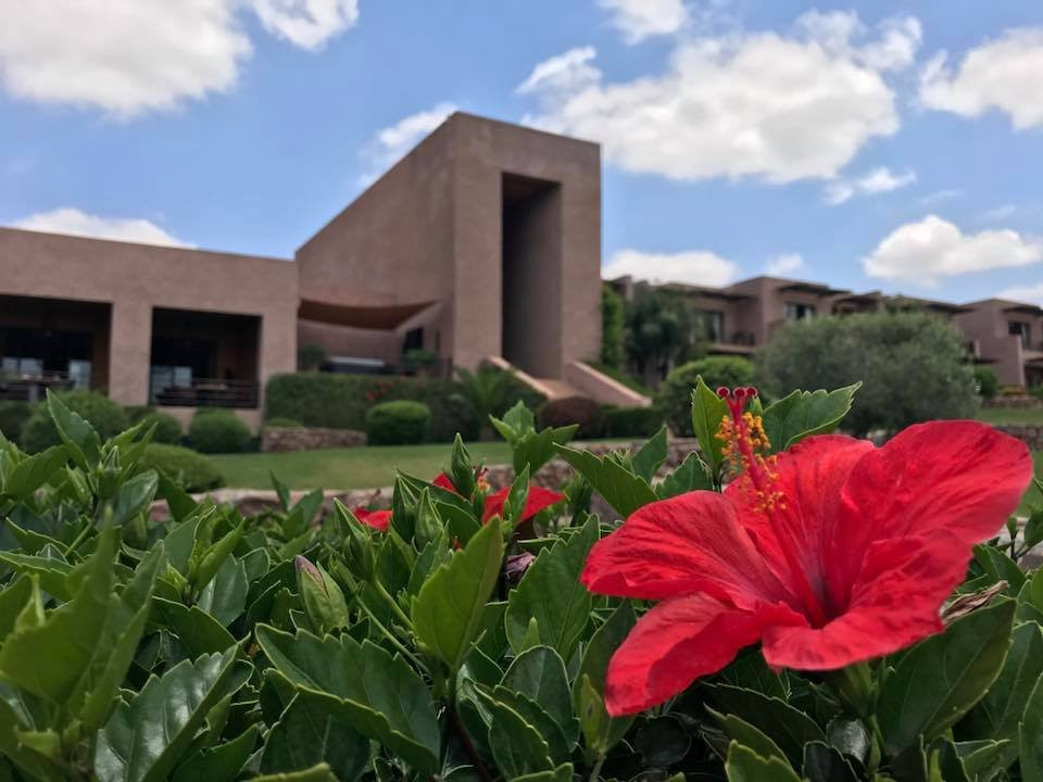 Le Palais Paysan主图