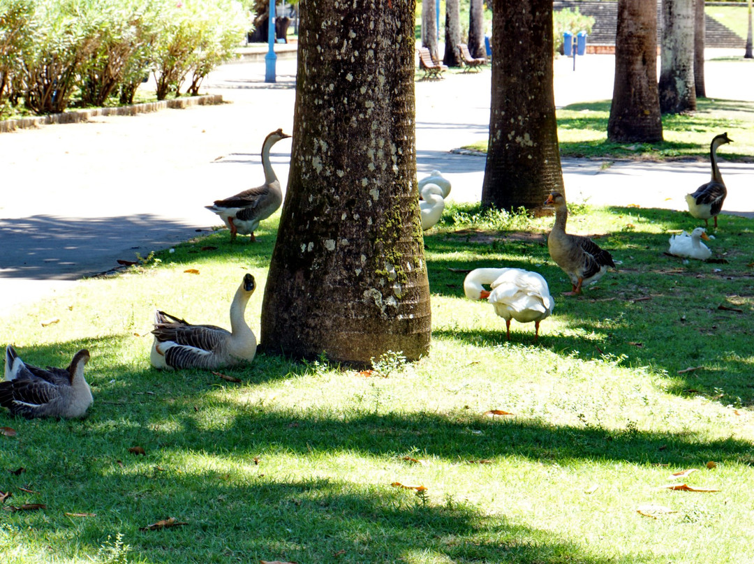 13 de Maio Park景点图片