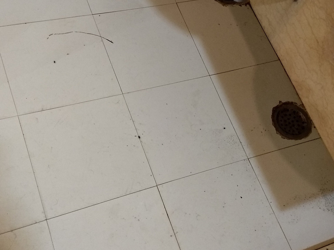 Hotel Royal Panna主图