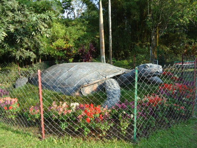 Botanical Garden-Diphu必去景点