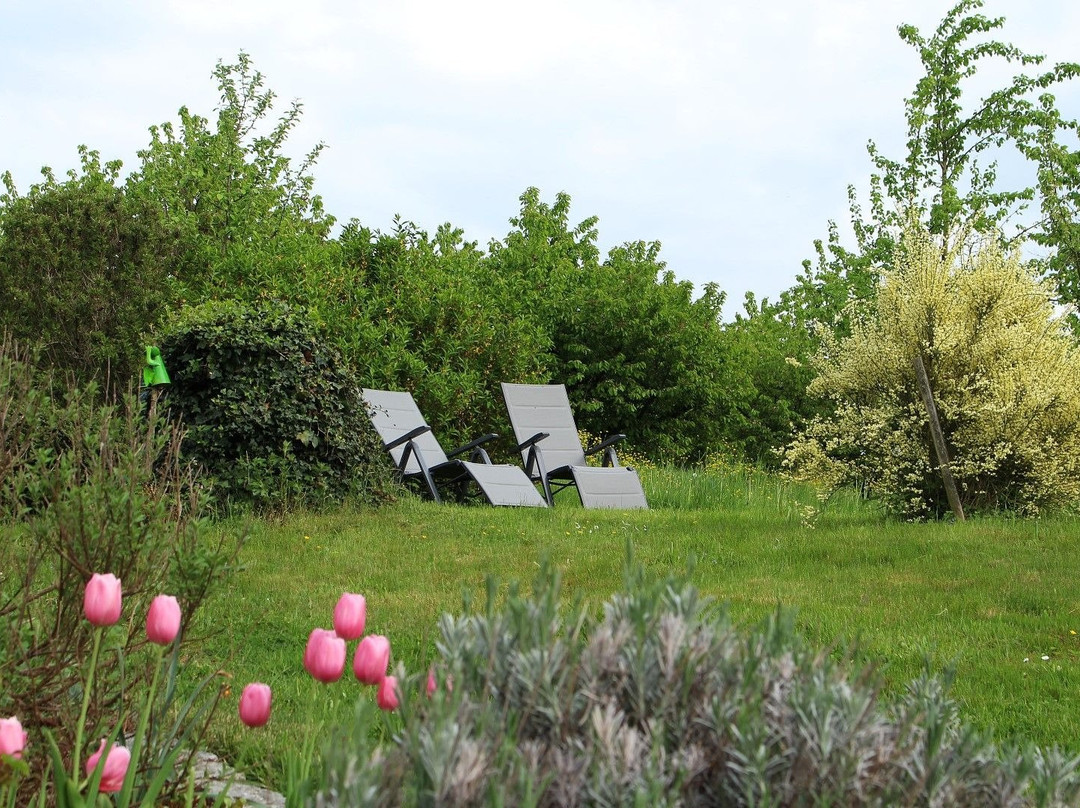 Haus Am Blauenbach主图