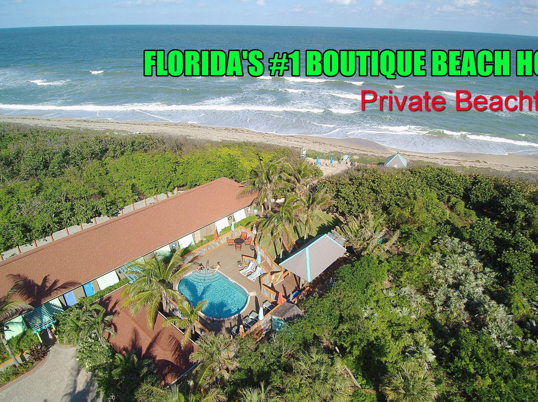 Seashell Suites Resort主图