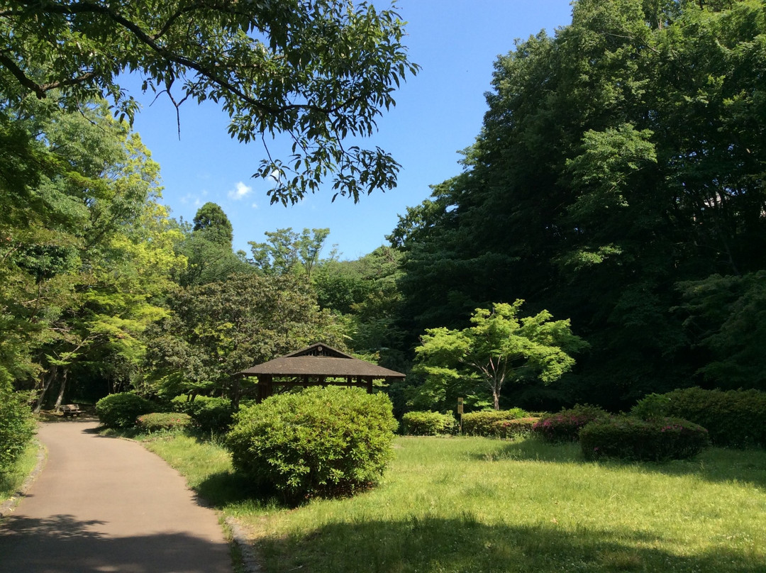 Serigaya Park景点图片