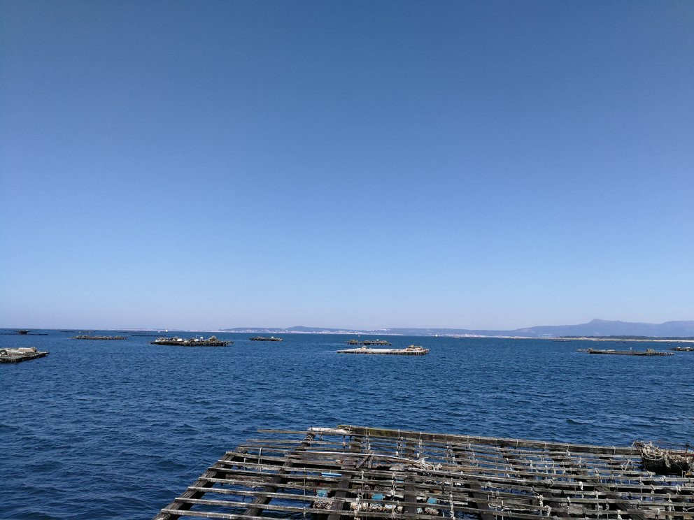 Cruceros Angel-格罗韦必去景点