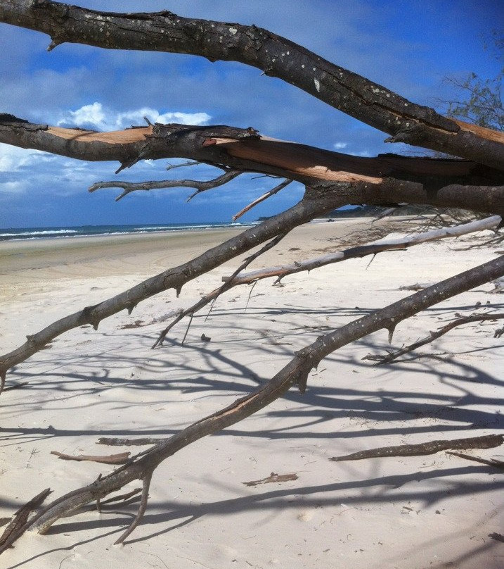 Straddie Kingfisher Tours景点图片