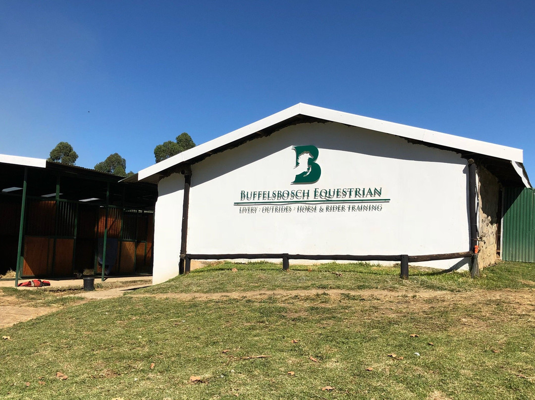 Buffelsbosch Equestrian景点图片
