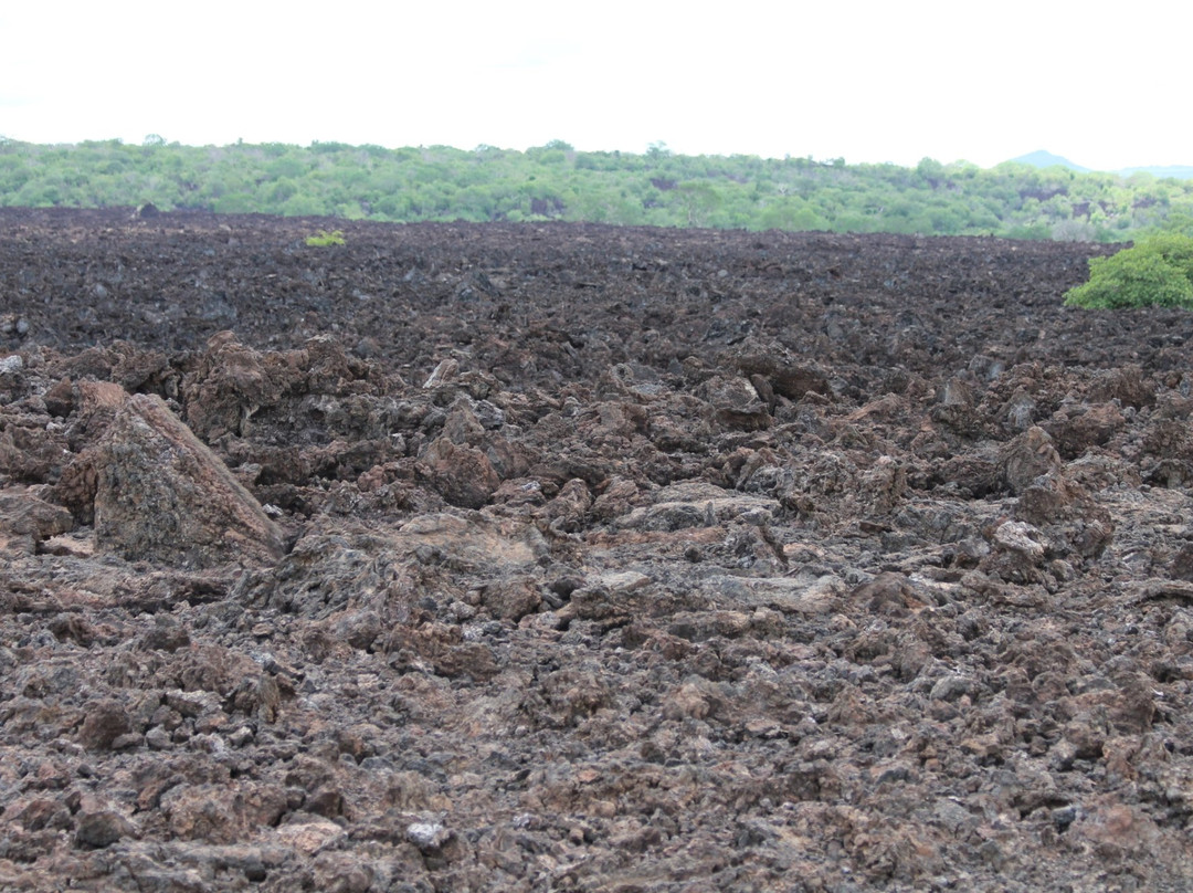 Chyulu Hills Lava Tube景点图片