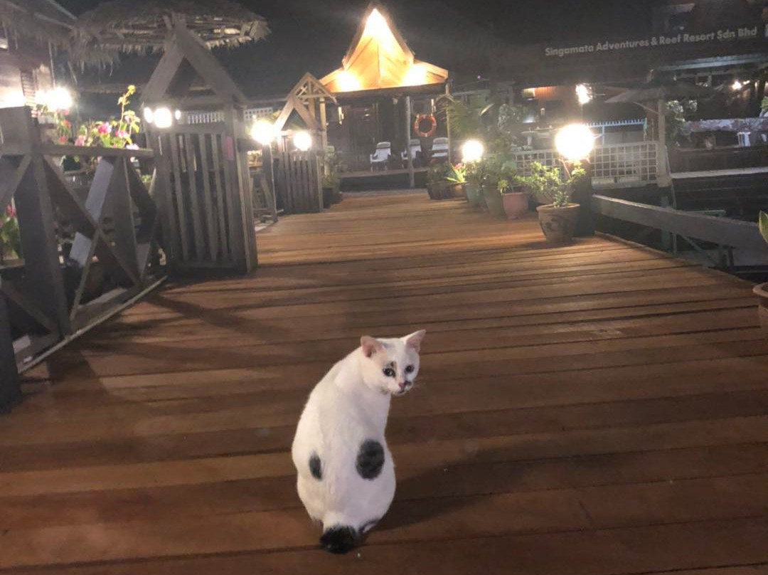 仙本那新佳马达潜水度假村主图