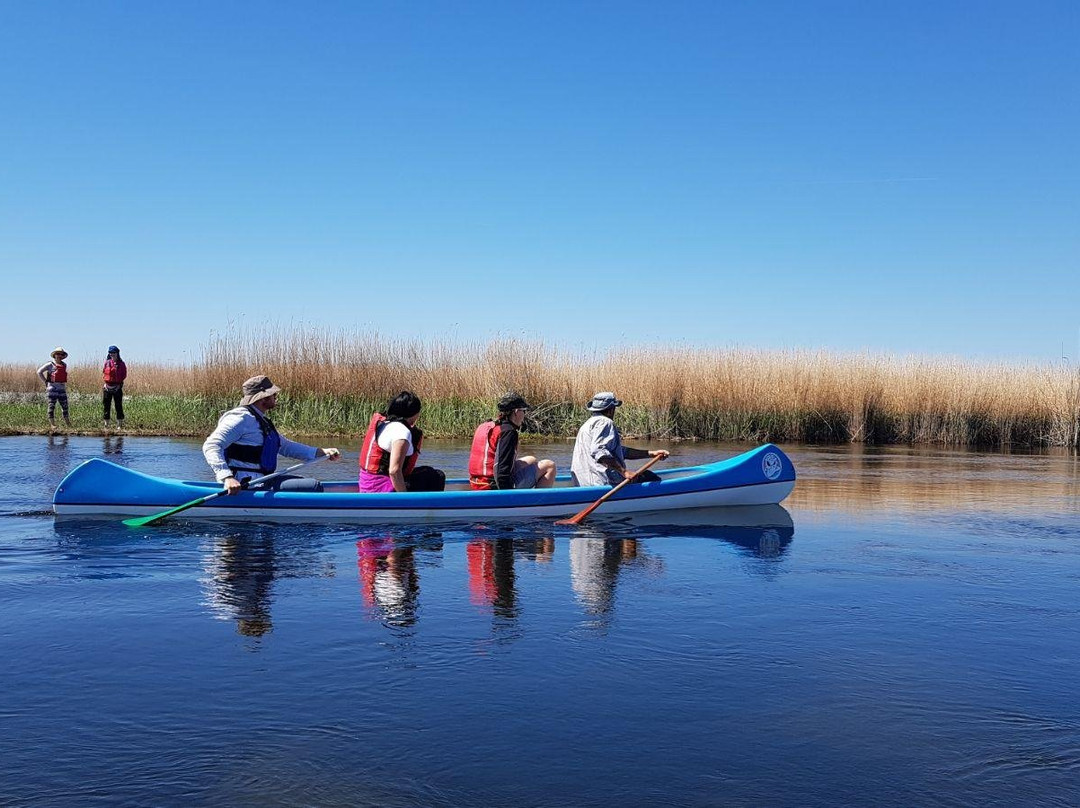 Kayaking and Biking Sulina, Danube Delta景点图片