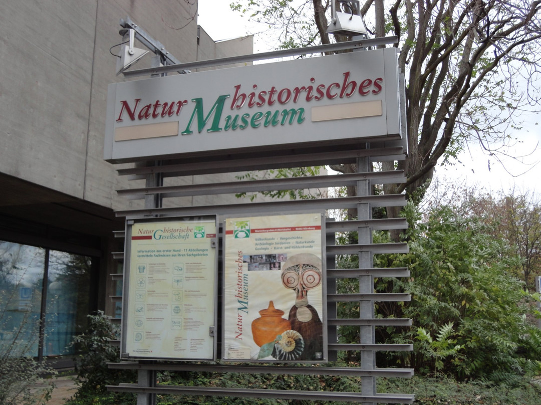 Naturhistorisches Museum-纽伦堡必去景点