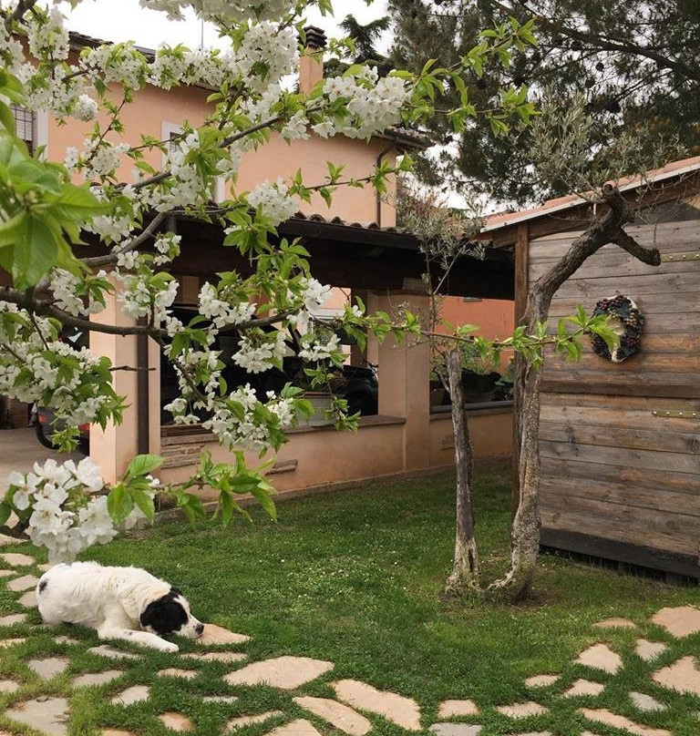 Casa de' Trinci B&B主图