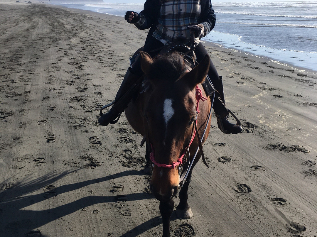 Back Country Horse Rides景点图片