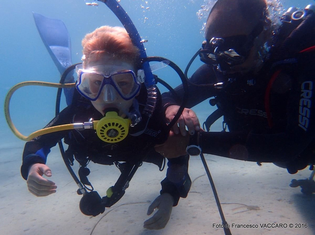 Dive Pros-马扎拉－德尔瓦洛必去景点