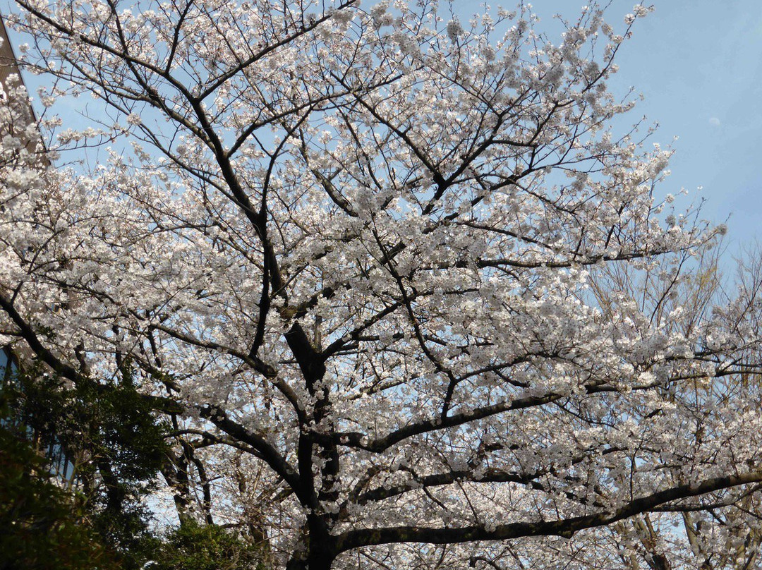 Komagome Park-Komagome必去景点