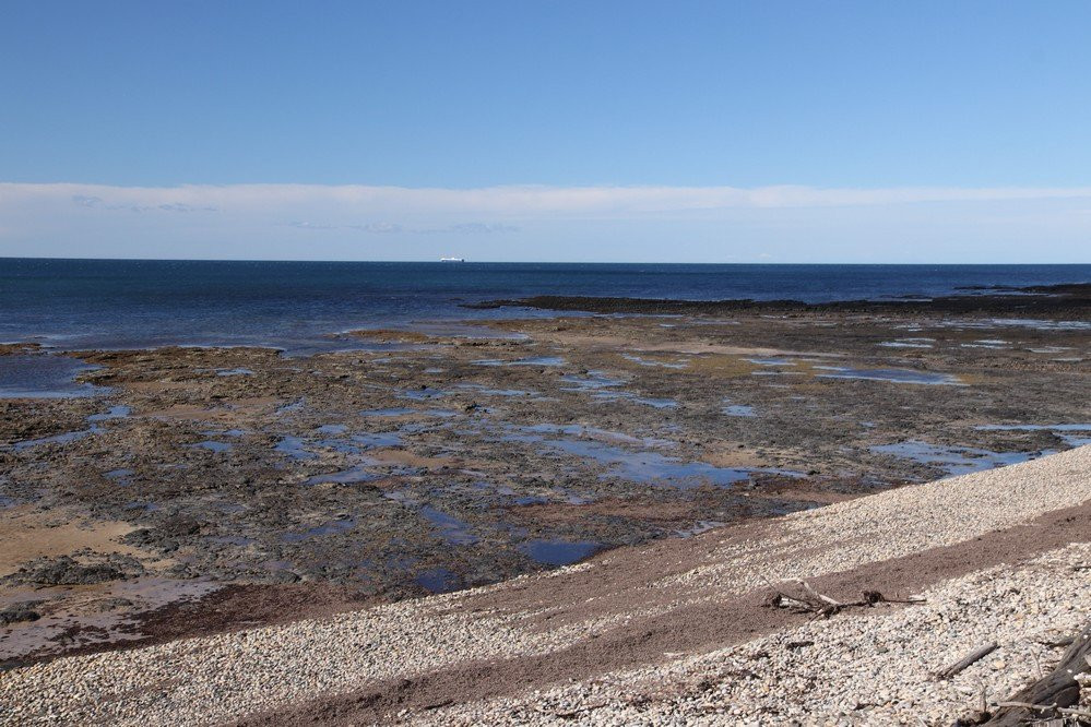 Lillico Beach Conservation Area景点图片