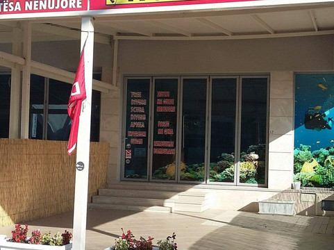 Nova Diving Center-杜勒斯必去景点