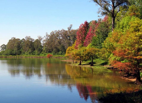 Candelaria旅游景点-Parque Witeck