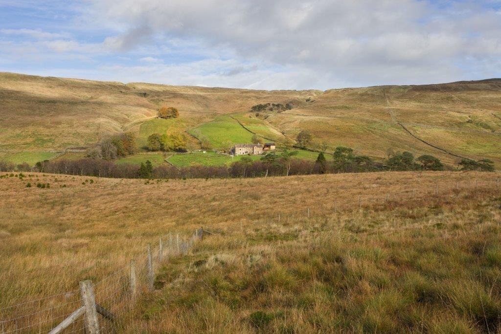 Nethergill Farm-官方