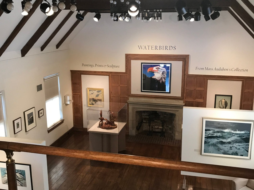 Museum of American Bird Art Education Center景点图片