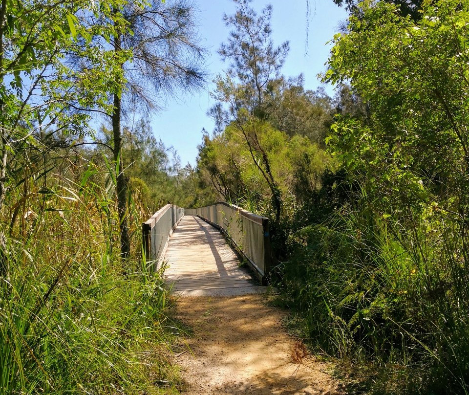 Warriewood Wetlands景点图片