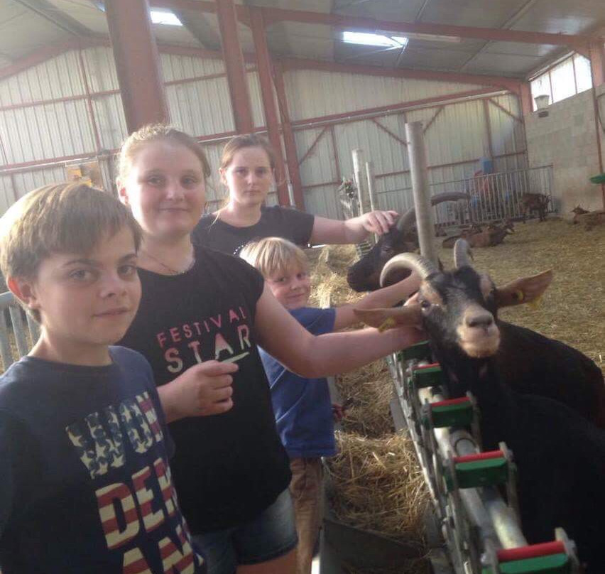 喀斯餐厅酒店主图