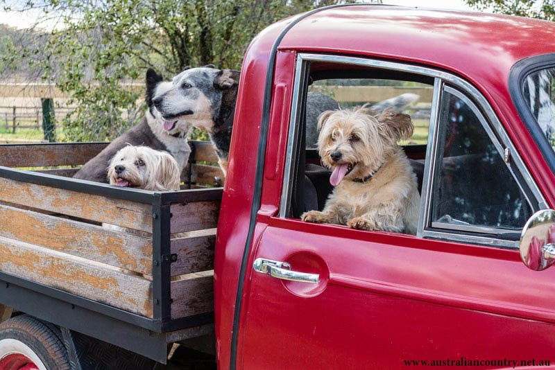 Blair Athol Estate主图