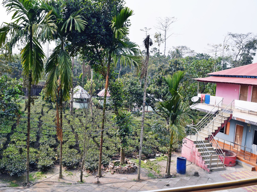 Jupiter Resort主图