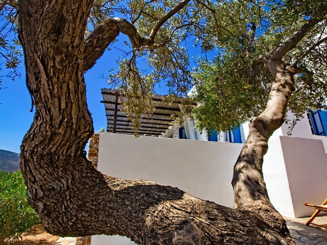 Sifnos Residence主图