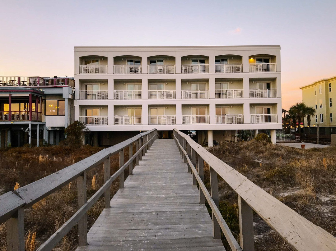 棕榈林海滨酒店主图