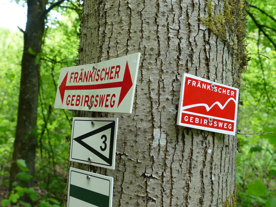 Gasthof-Pension Bergmann