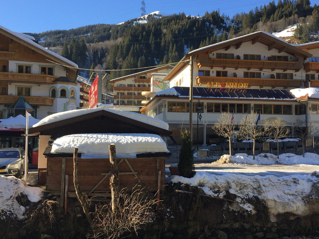 Hotel Alpenhof