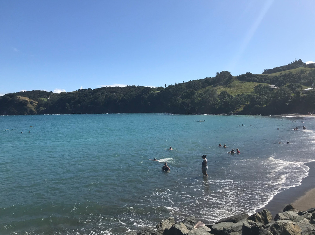Mathesons Bay景点图片