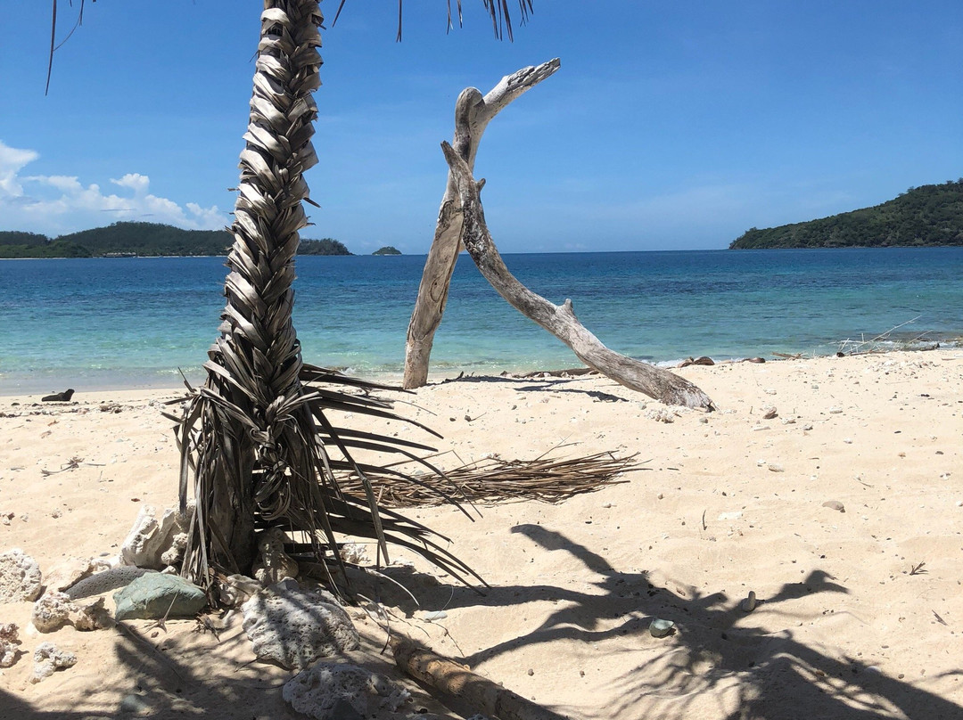 Mamanuca Express-纳迪市必去景点