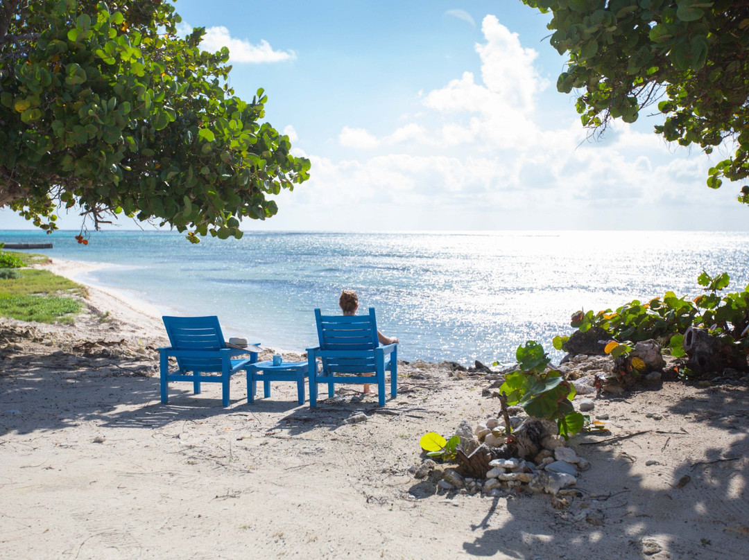 Paradise Villas主图