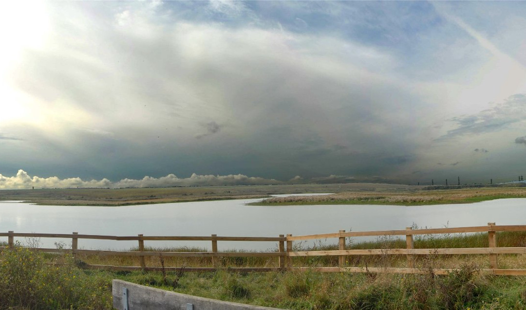 RSPB Bowers Marsh景点图片