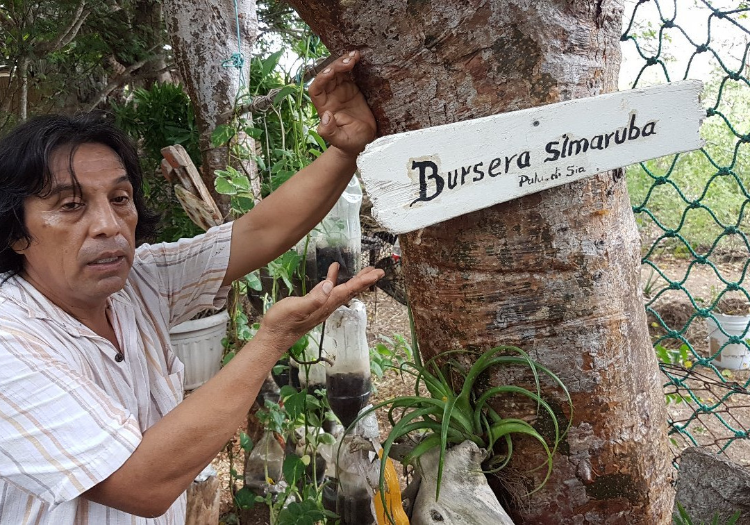 The Bonaire Botanical Garden景点图片