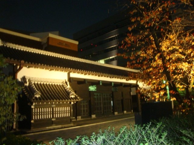 Fuedal Palace Gate