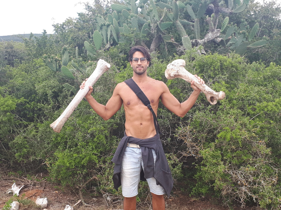 Addo Afrique Estate主图