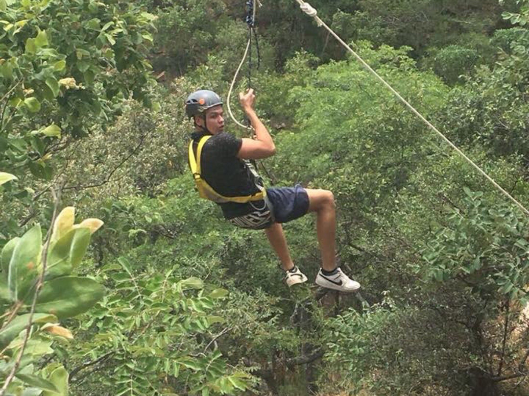 Lekhalo Safaris Zipline景点图片