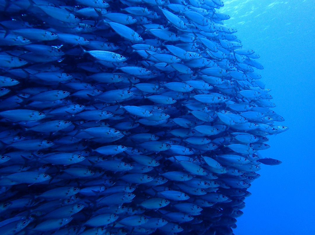 Lau Lau Beach-塞班岛必去景点