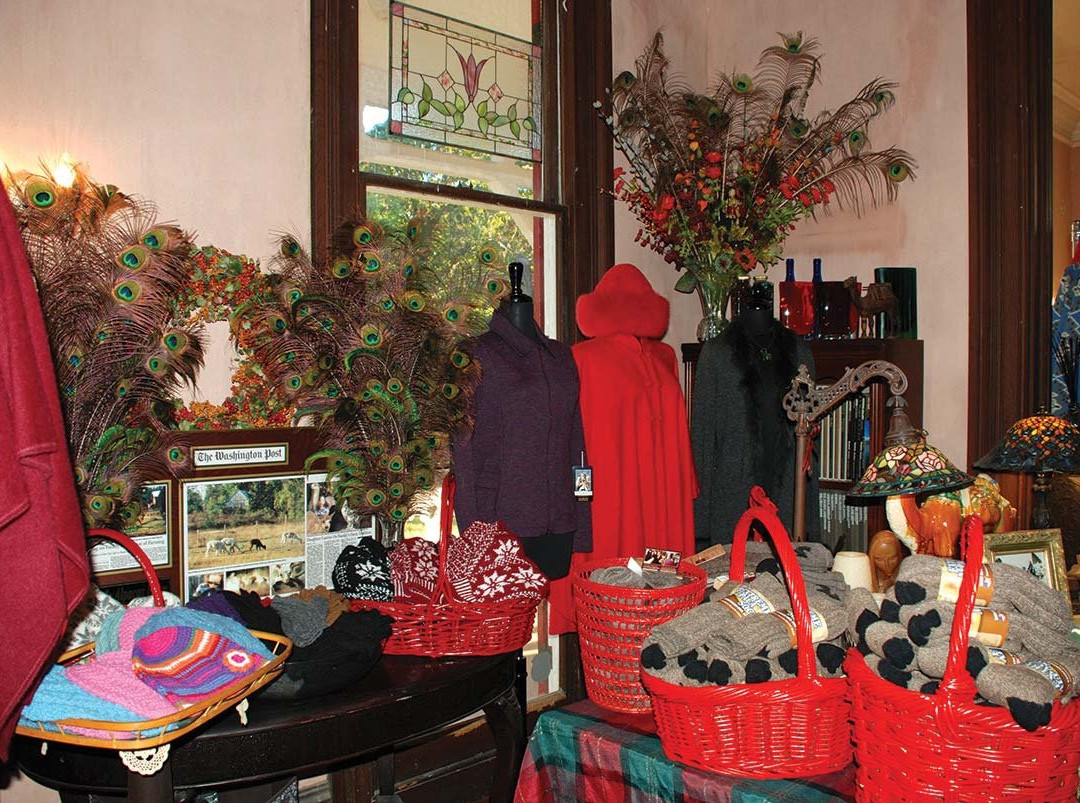 Villa de Alpacas景点图片