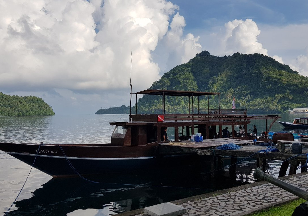 Dive BlueMotion-Banda Neira必去景点