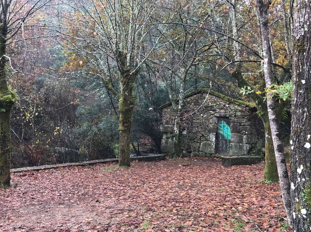 Termas Prexigueiro景点图片