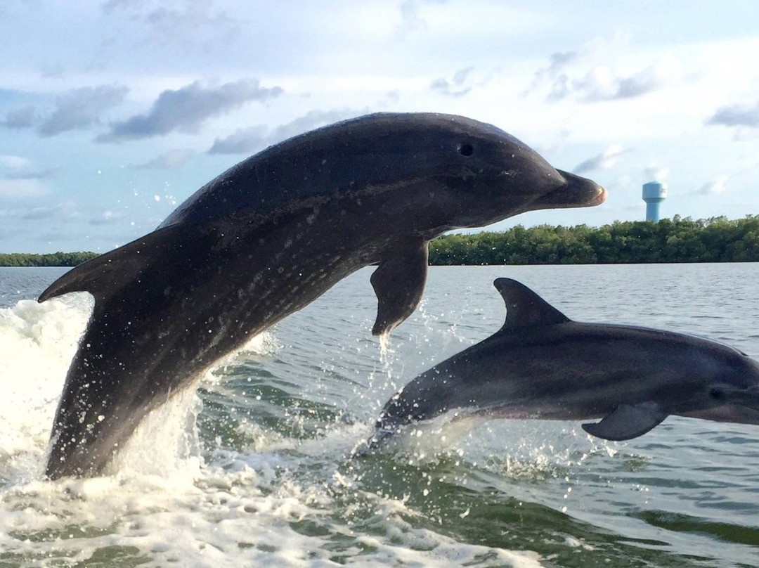 Sweetwater Paddle Sports-博尼塔斯普林斯必去景点